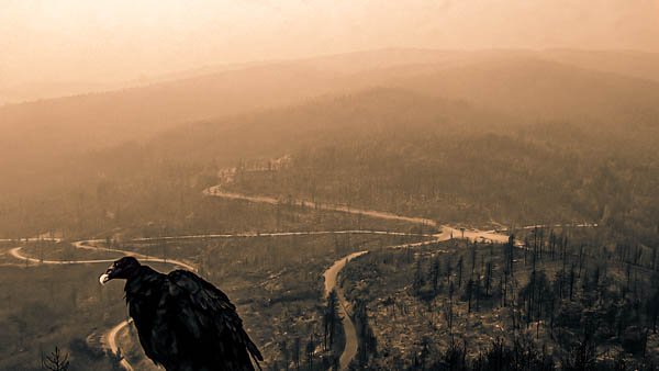 Image - Round Mountain